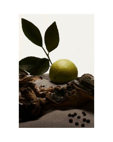 Perfume Hombre Burberry Hero EDT 100 ml Hero