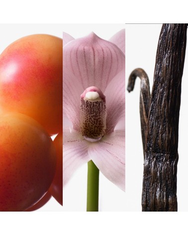 Damenparfüm Calvin Klein Euphoria 100 ml