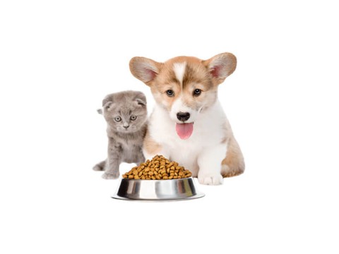 Aliments pour animaux