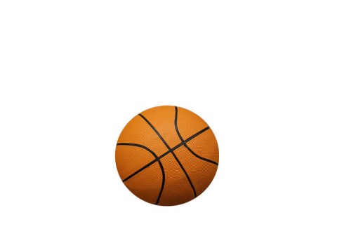 Balones de baloncesto